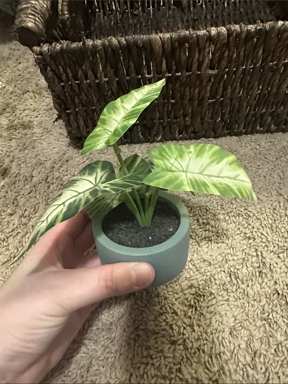 Woven Storage Basket and Faux Plants